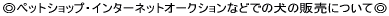ybgVbvEC^[lbgI[NVȂǂł̌̔̔ɂā